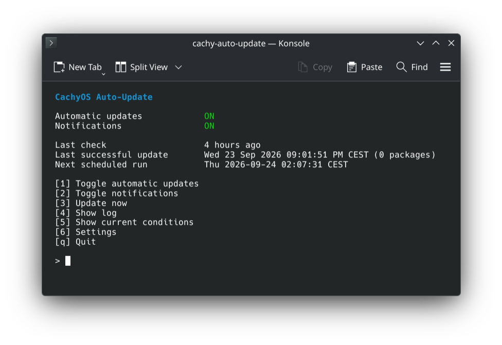 The cachy-auto-update menu in Konsole: automatic updates and notifications on