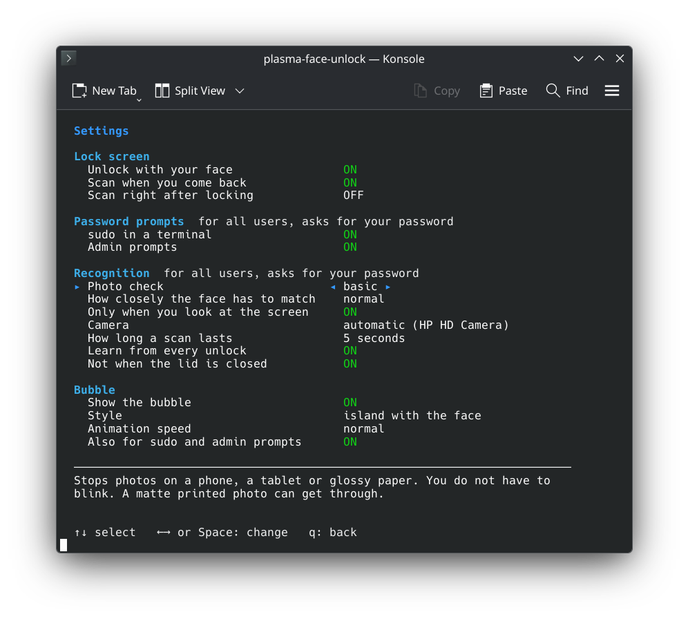 The settings in Konsole, grouped into lock screen, password prompts, recognition and bubble, with the photo check explained at the bottom