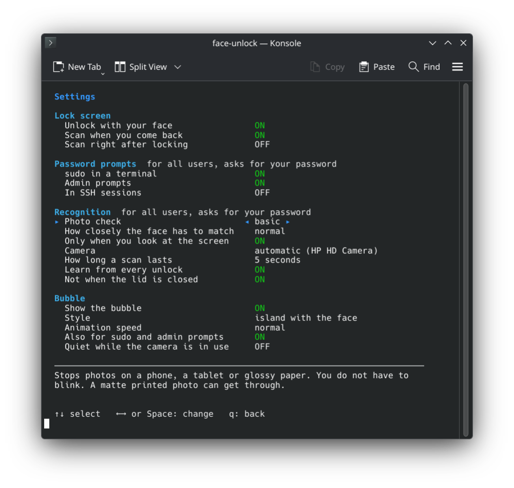 The settings in Konsole, grouped into lock screen, password prompts, recognition and bubble, with the photo check explained at the bottom