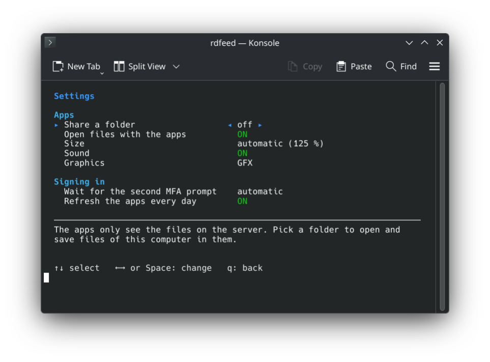 The settings in Konsole: share a folder, open files with the apps, size, sound, graphics, the wait for the second MFA prompt, and a daily refresh, with the selected one explained at the bottom